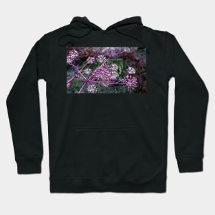 Purple Berries-Available As Art Prints-Mugs,Cases,Duvets,T Shirts,Stickers,etc Hoodie